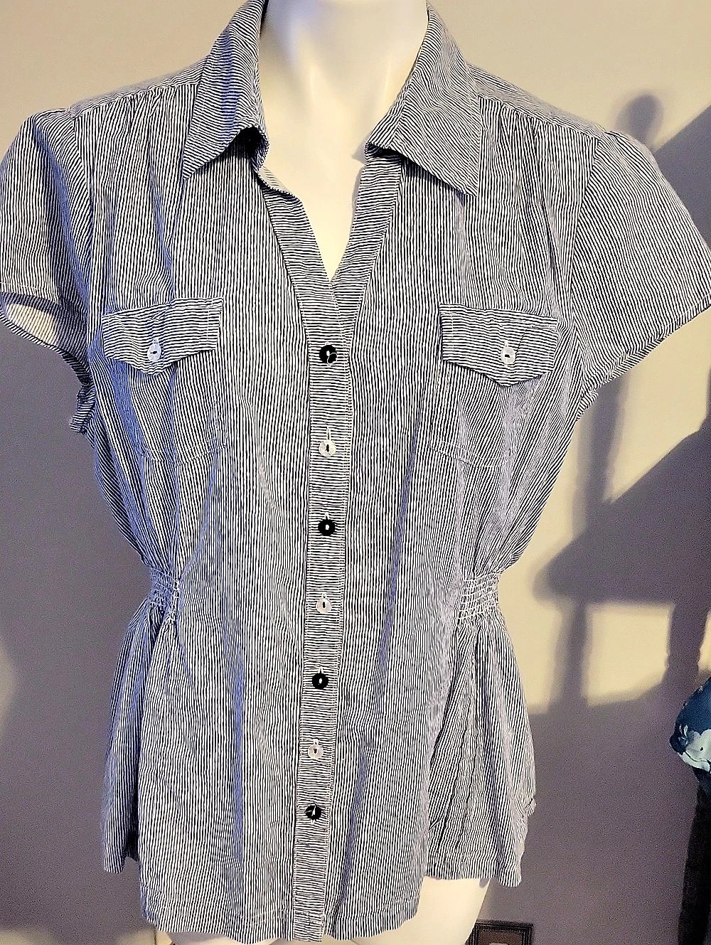Cato Striped Button Down in Blue & White XL Like New